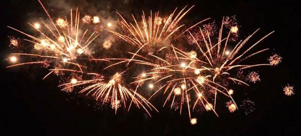 235 - Silvester-Regen (Z, W)